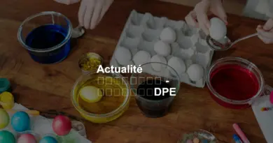 Actualité
–
DPE