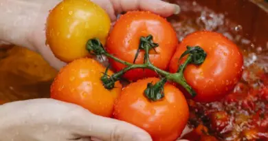 VIDÉO. À Saint-Lô, un village nutrition pour sensibiliser à une bonne hygiène de vie – Ouest-France