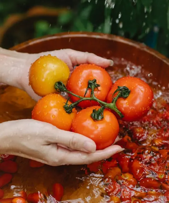 VIDÉO. À Saint-Lô, un village nutrition pour sensibiliser à une bonne hygiène de vie – Ouest-France