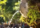 spécial Festival d’Aix-en-Provence avec Fabrizio Cassol et Pauline Chaigne pour l’OJM
