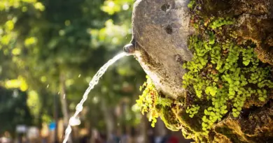 spécial Festival d’Aix-en-Provence avec Fabrizio Cassol et Pauline Chaigne pour l’OJM
