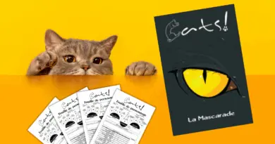 10 ans de Cats! La Mascarade… et toujours pas vaccinée - D1000 et D100
