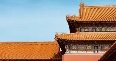 China,Beijing,Great Wall,Shanghai,Panda,Architecture,Asian culture,Landscape