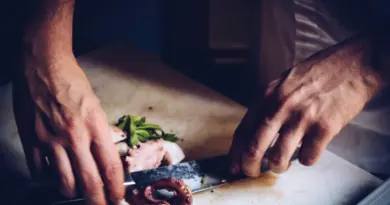 cooking, recipe, food, cuisine, gastronomy, gourmet, chef, kitchen