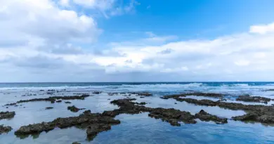 Nouvelle-Calédonie, Nouméa, lagoon, reef, beach, island, Kanak, nature, landscape, coral