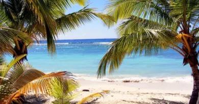 Polynésie française, Tahiti, Bora Bora, lagoon, beach, palm, coral, overwater, island