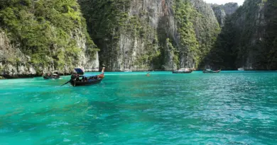Mayotte, Mamoudzou, lagoon, beach, coral, mangrove, ylang-ylang, island, Creole, nature