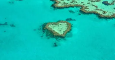 Nouvelle-Calédonie, Nouméa, lagoon, reef, beach, island, Kanak, nature, landscape, coral