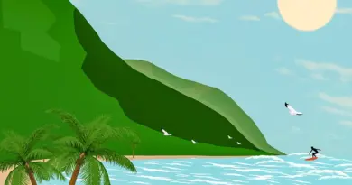 Martinique, Fort-de-France, beach, volcano, palm, rainforest, Creole, boat, island
