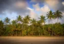 Polynésie française, Tahiti, Bora Bora, lagoon, beach, palm, coral, overwater, island