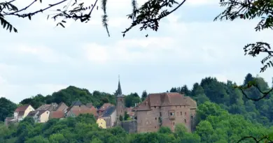 Grand Est, Strasbourg, Reims, vineyard, Alsace, Vosges, forest, cathedral, village