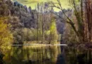 Centre-Val de Loire, Orléans, Tours, Loire river, castle, vineyard, forest, landscape
