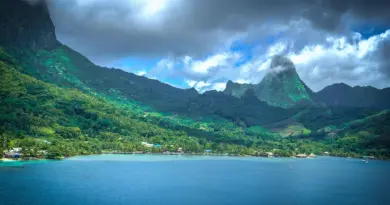 Mayotte, Mamoudzou, lagoon, beach, coral, mangrove, ylang-ylang, island, Creole, nature