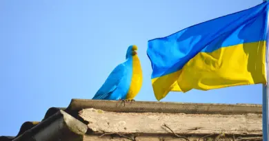 Ukraine, Ukrainian flag, Kyiv, war, peace, sunflower, map, solidarity, protest