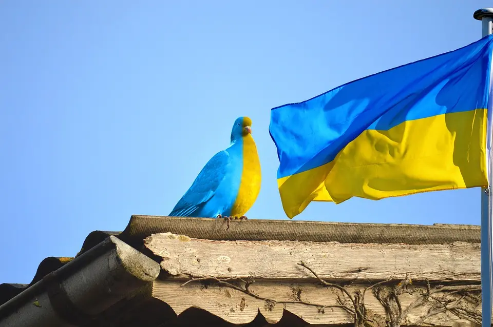 Ukraine, Ukrainian flag, Kyiv, war, peace, sunflower, map, solidarity, protest
