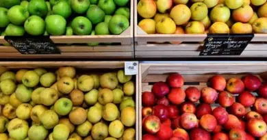 Et si les droits de douane imposés par Donald Trump étaient une aubaine pour les pommes françaises ?