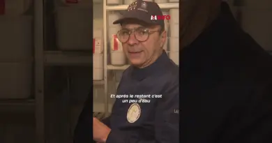 Un coup d'œil peut suffire pour savoir si une glace est artisanale