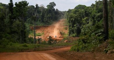 Guyana: une route au milieu de nulle part pour développer le pays
