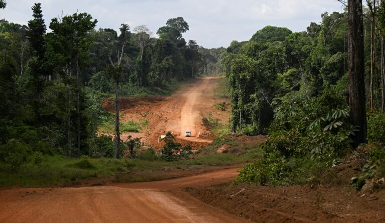 Guyana: une route au milieu de nulle part pour développer le pays