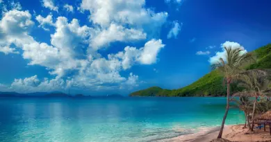 Martinique, Fort-de-France, beach, volcano, palm, rainforest, Creole, boat, island