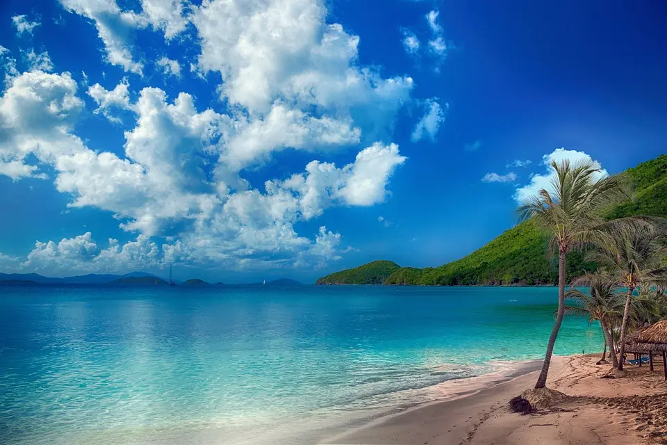 Martinique, Fort-de-France, beach, volcano, palm, rainforest, Creole, boat, island