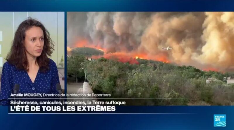 Image illustrant le contenu de l’article.