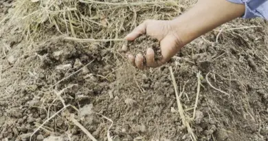 "2025, une année plus sèche que les autres" : déficit pluviométrique et risque de sécheresse en Guadeloupe