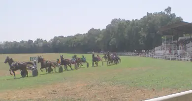 Le 2e rendez-vous de la saison 2025 pour les courses de chevaux à l'Hippodrome du Réchou