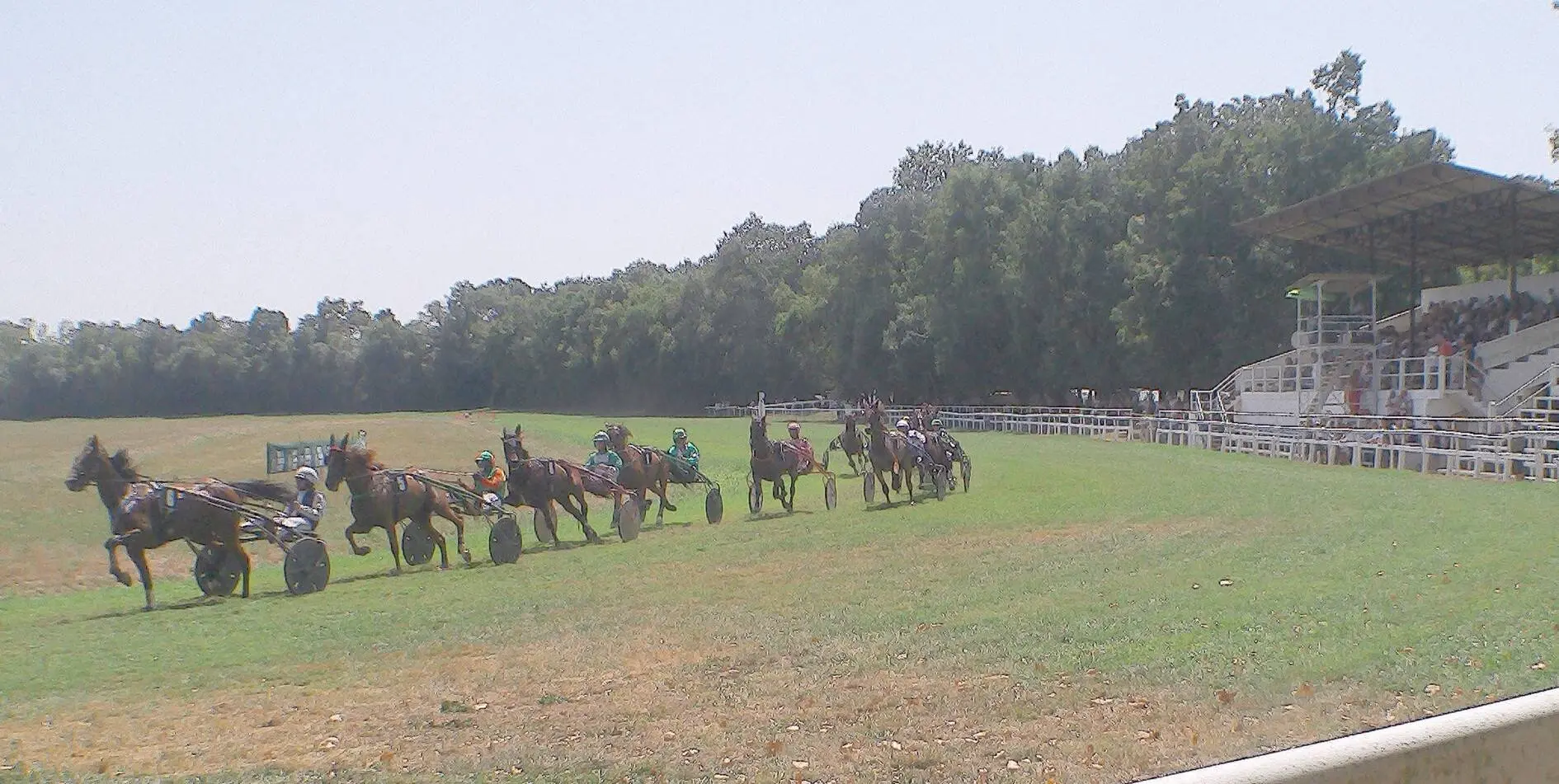 Le 2e rendez-vous de la saison 2025 pour les courses de chevaux à l'Hippodrome du Réchou