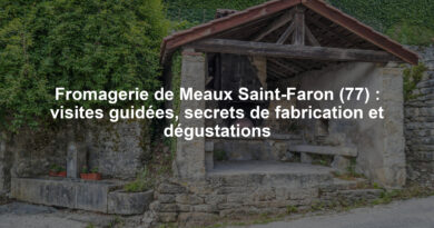 Fromagerie de Meaux Saint-Faron (77) : visites guidées, secrets de fabrication et dégustations