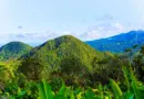 Guadeloupe, Basse-Terre, Pointe-à-Pitre, volcano, beach, palm, waterfall, Creole, island