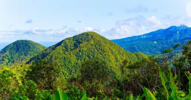 Guadeloupe, Basse-Terre, Pointe-à-Pitre, volcano, beach, palm, waterfall, Creole, island