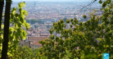 42°C à Lyon ce mercredi, 13 degrés de plus que les moyennes saisonnières