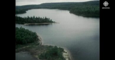 55 ans de conservation de la nature au Parc national de la Mauricie