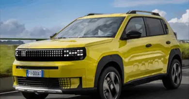 600, Grande Panda Voiture particulière