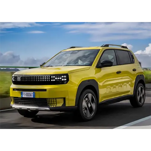 600, Grande Panda Voiture particulière