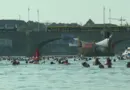 6000 personnes nagent dans le Rhin avec leur sac bouée : le Rheinschwimmen, une tradition suisse, bat un record d'affluence