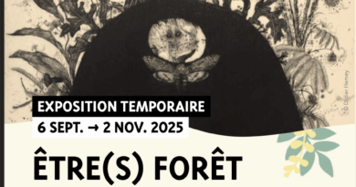 6/09 au 2/11  Exposition “Etre(s) forêt” de Didier Hamey . Auberge des Dauphins – Saoû