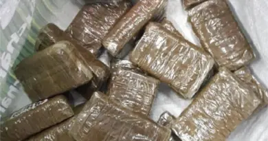 787 kilos de cannabis saisis par les policiers du Val-d'Oise