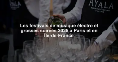 Les festivals de musique électro et grosses soirées 2025 à Paris et en Île-de-France