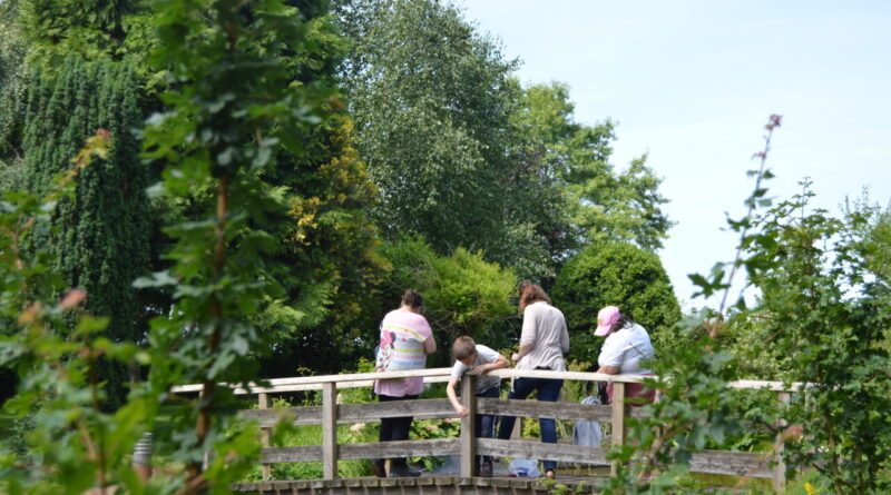 8/9 Nos balades de l’été. Parc, roselière et autres trésors : nos idées de visites autour d’Argueil