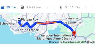 9 minutes et des poussières pour Letchimy : une humiliation feutrée voire stratosphérique signée Bruno Retailleau
