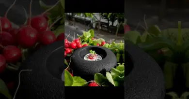 @guysavoyGelée de radis au caviar.Radish jelly with caviar.@lephotographefood #guysavoy
