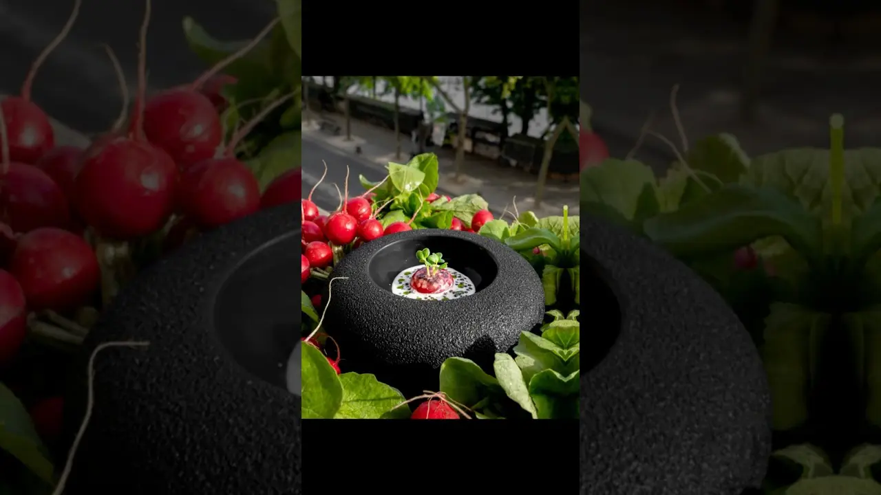 @guysavoyGelée de radis au caviar.Radish jelly with caviar.@lephotographefood #guysavoy