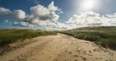 Nouvelle-Aquitaine, Bordeaux, Biarritz, dune, ocean, vineyard, forest, landscape