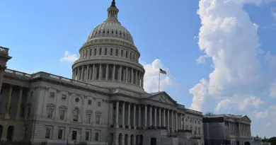 politics, government, parliament, election, voting, democracy, politician, president