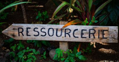 L’expérience de Mahina s’inscrit dans un projet plus large : la création d’un réseau polynésien de ressourceries.  ©DM