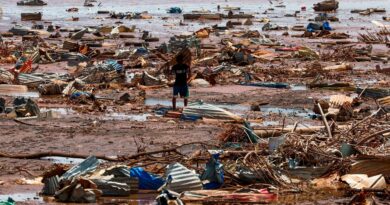 A Mayotte, le cyclone Chido a détruit près de la moitié des coraux du lagon, selon une étude