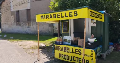 À Razimont, la mirabelle fait halte au bord de la route !