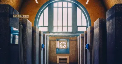 A Rennes, une cathédrale aquatique